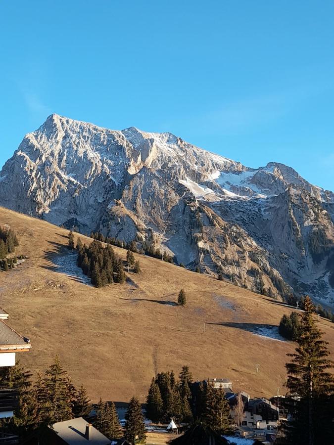Appartement Au Coeur Des Aravis Manigod Exterior photo